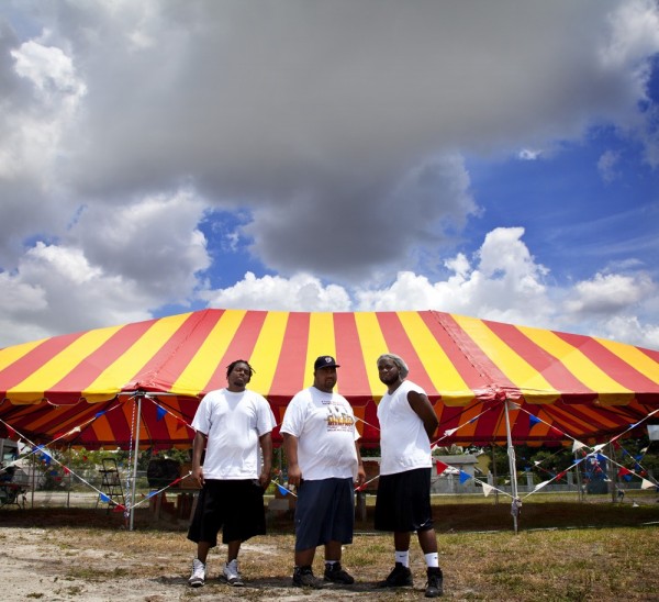 Fireworks for Sale